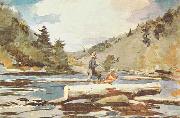 Winslow Homer, Hudson River, Logging